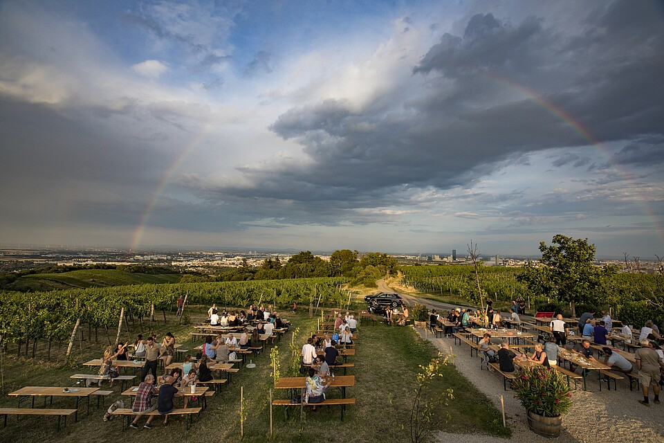 View from Vienna's vineyards with a rainbow in background