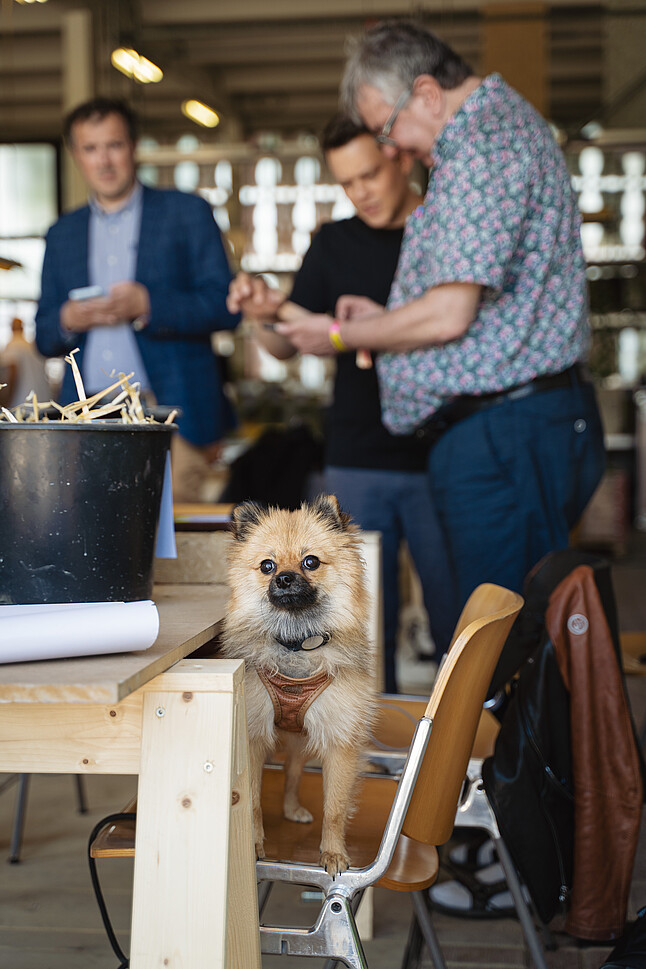 ViennaUP: Day 3, June 5, 2024