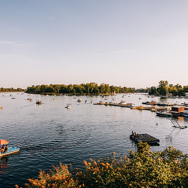 Panorama of the Danube River, surrounded by trees, and people in the water.